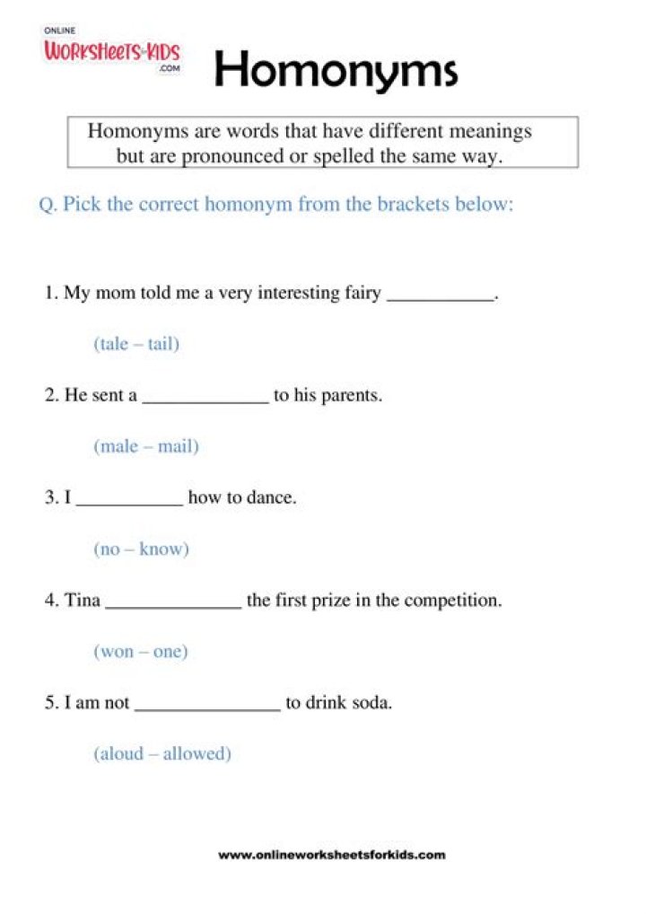 Homonyms Worksheets with Answers PDF – Instant Download