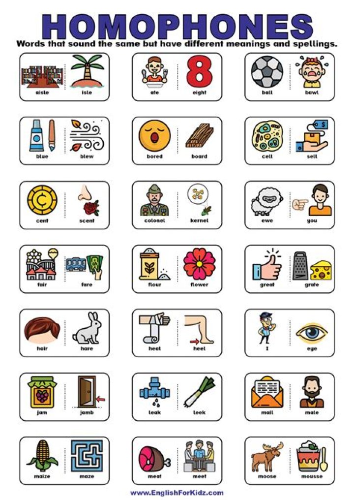 Homophones ESL Worksheet PDF – Perfect for ESL Students
