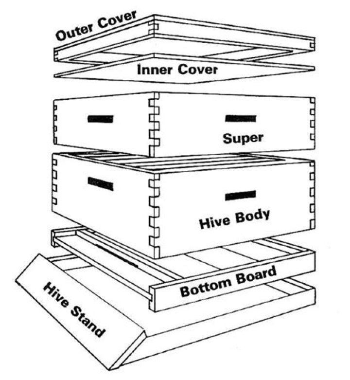 Honey Bee Hive Plans PDF: DIY Beekeeping Guide with Detailed Blueprints