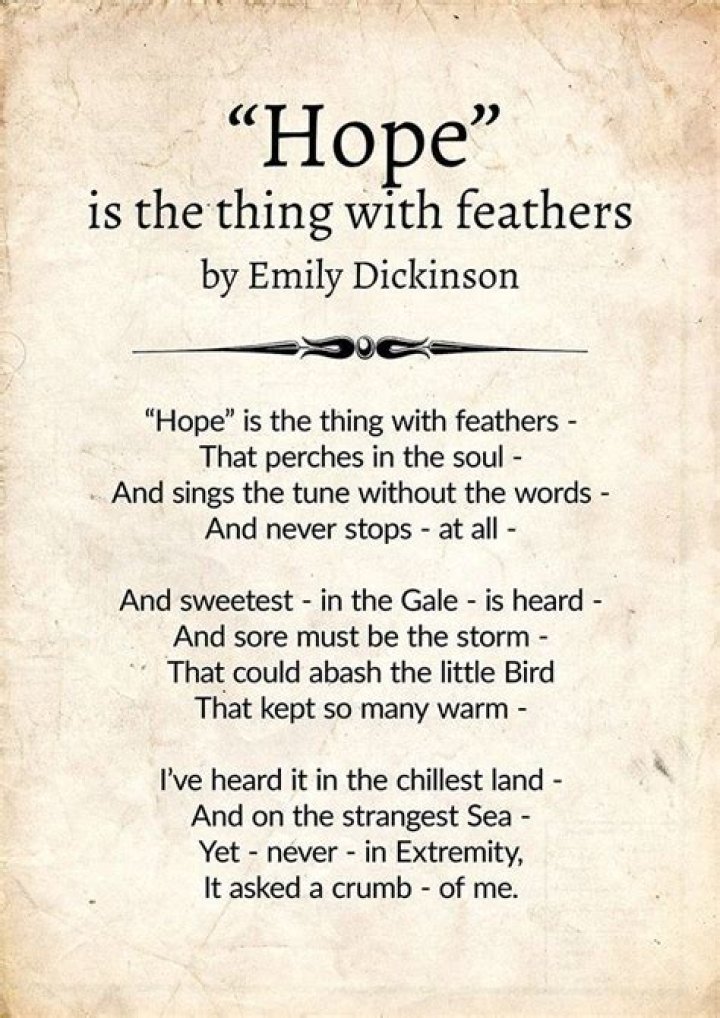 Hope Is the Thing with Feathers: Questions & Answers PDF – Explore the Full Guide