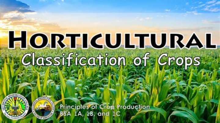 Horticulture Crops List PDF: Complete Guide to Top Growing Crops