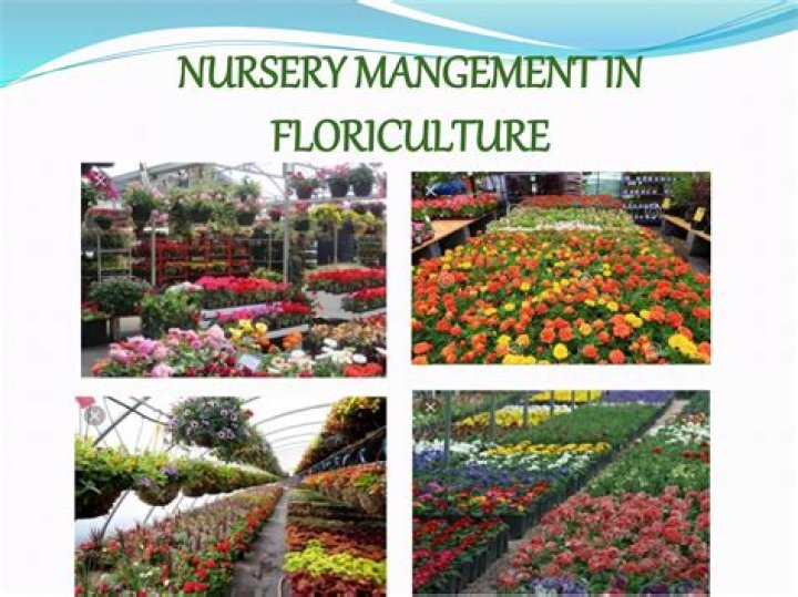 Master Horticulture Nursery Management with This Essential PDF Guide
