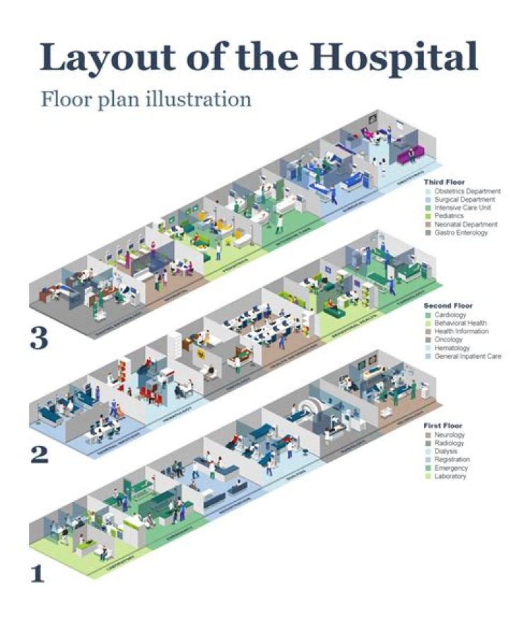 Comprehensive Hospital Design Plan PDF for Modern Healthcare Facilities