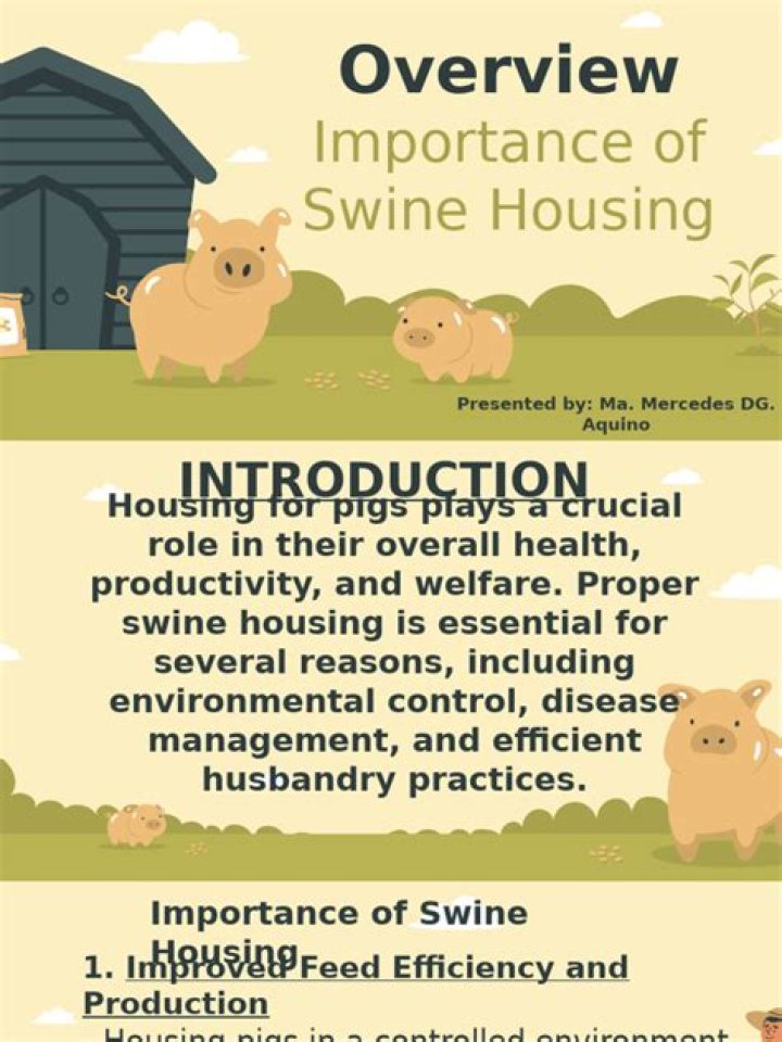 Housing Management PDF: Essential Guide for Efficient Property Oversight