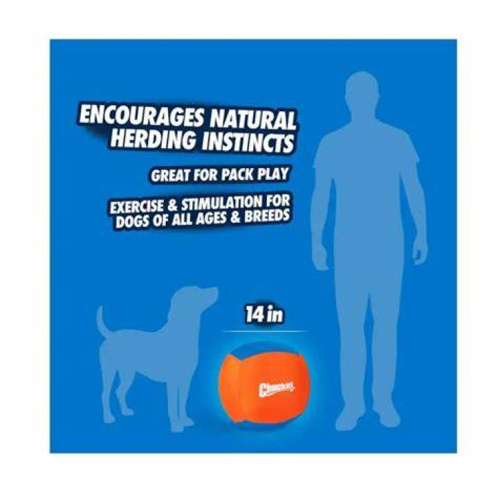 How big should a ball be for a dog?
