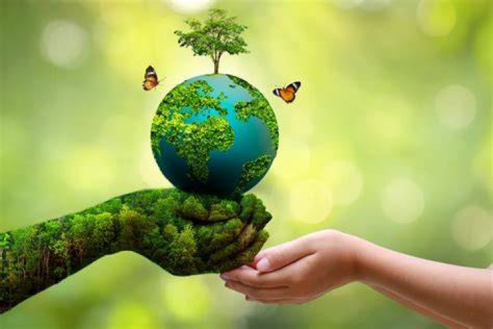 How can we make Environment Day?