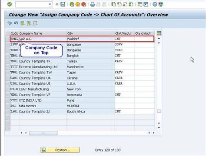 How do I assign a company code in SAP FICO?