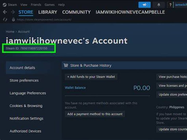 How do I find my Steam ID number?