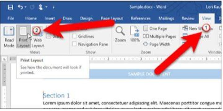 How do I get Microsoft Word back to Print Layout?