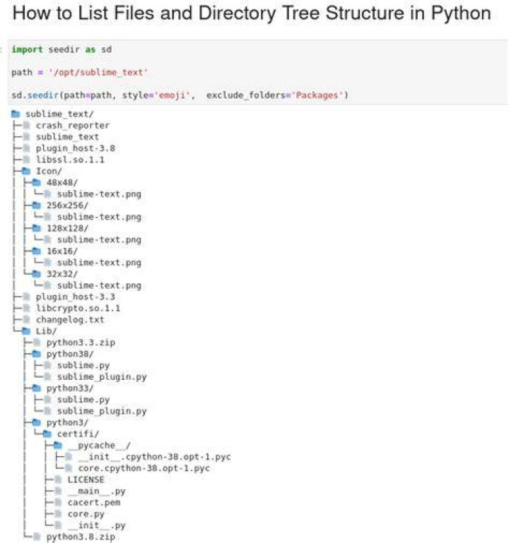 How do I get the python directory in Windows?
