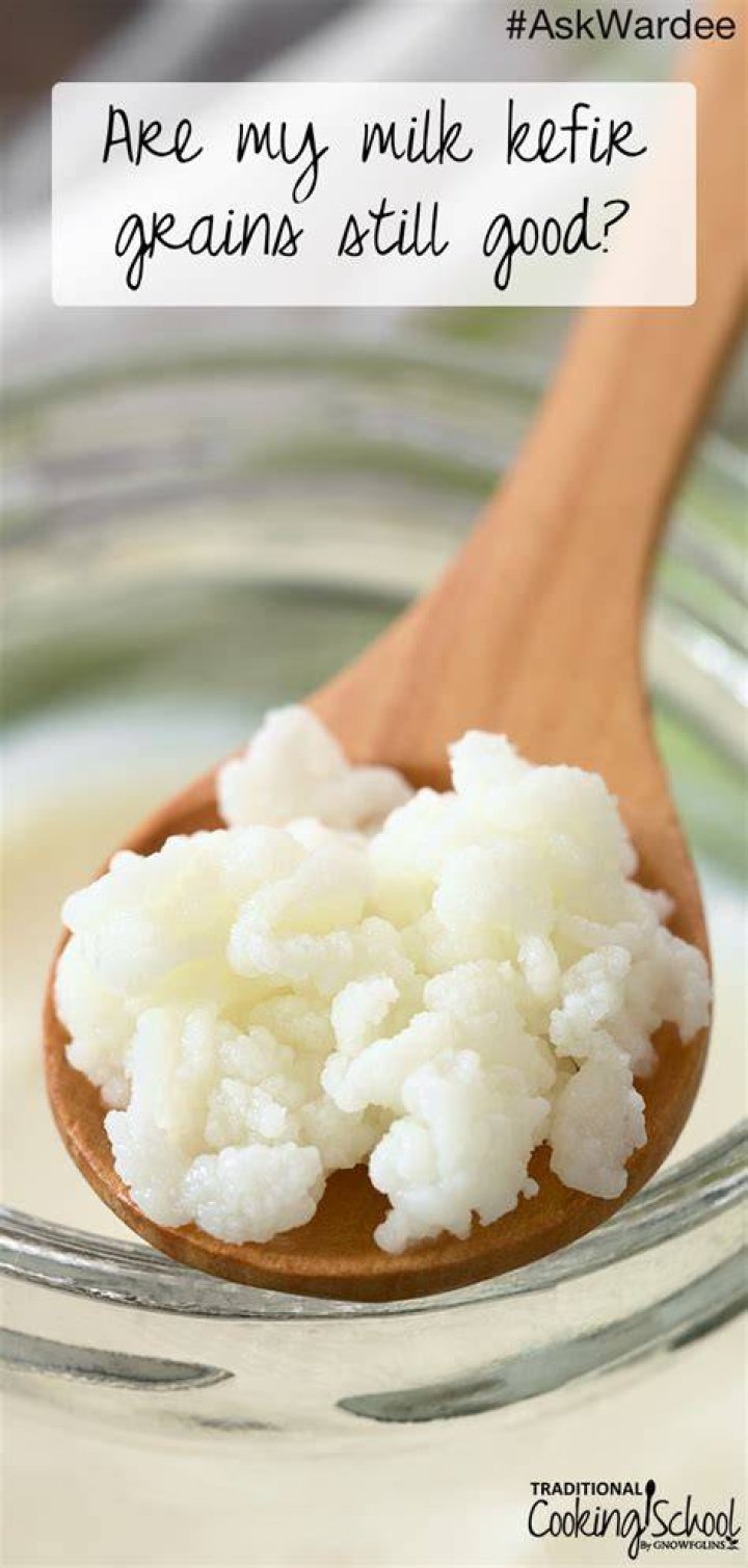 How do I start my own kefir grains?