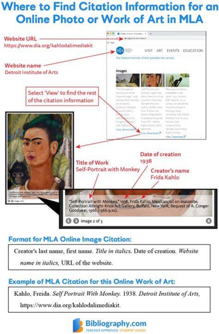 How do you cite a picture in MLA 9?