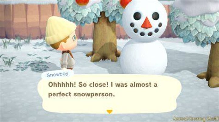 How do you get the perfect snowman in new leaf?