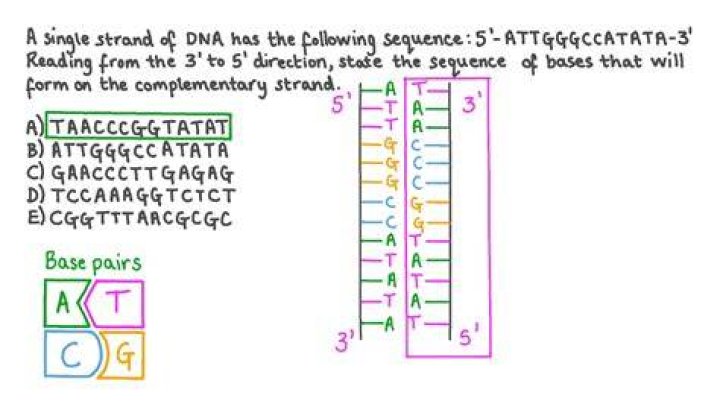 How do you identify an unknown DNA sequence?