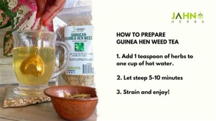 How do you make guinea hen weed tea?