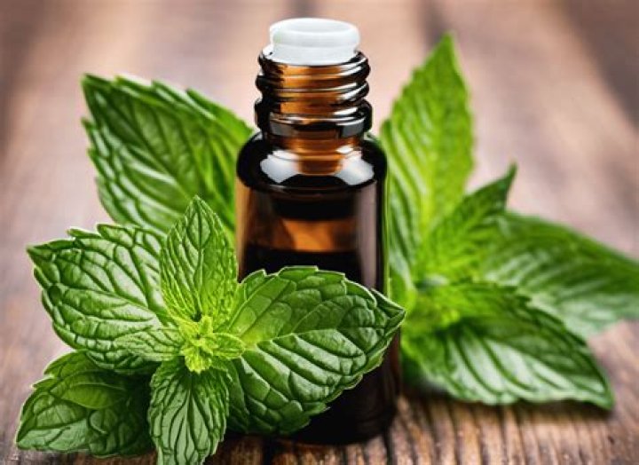 How do you neutralize peppermint oil?