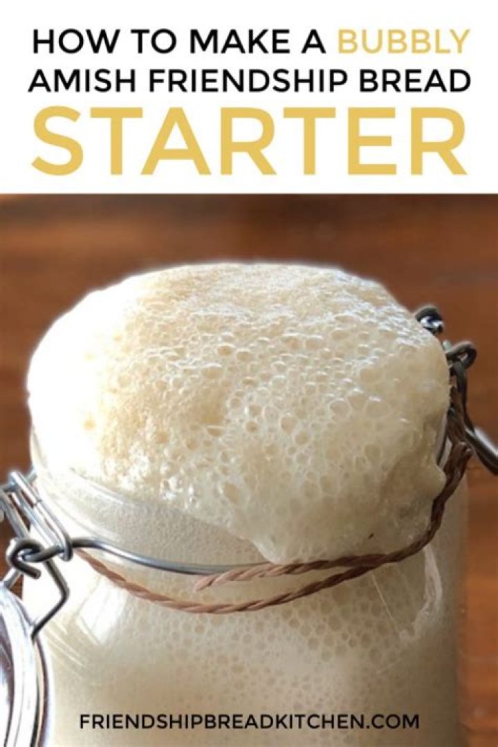How do you stop Amish Friendship Bread starter?