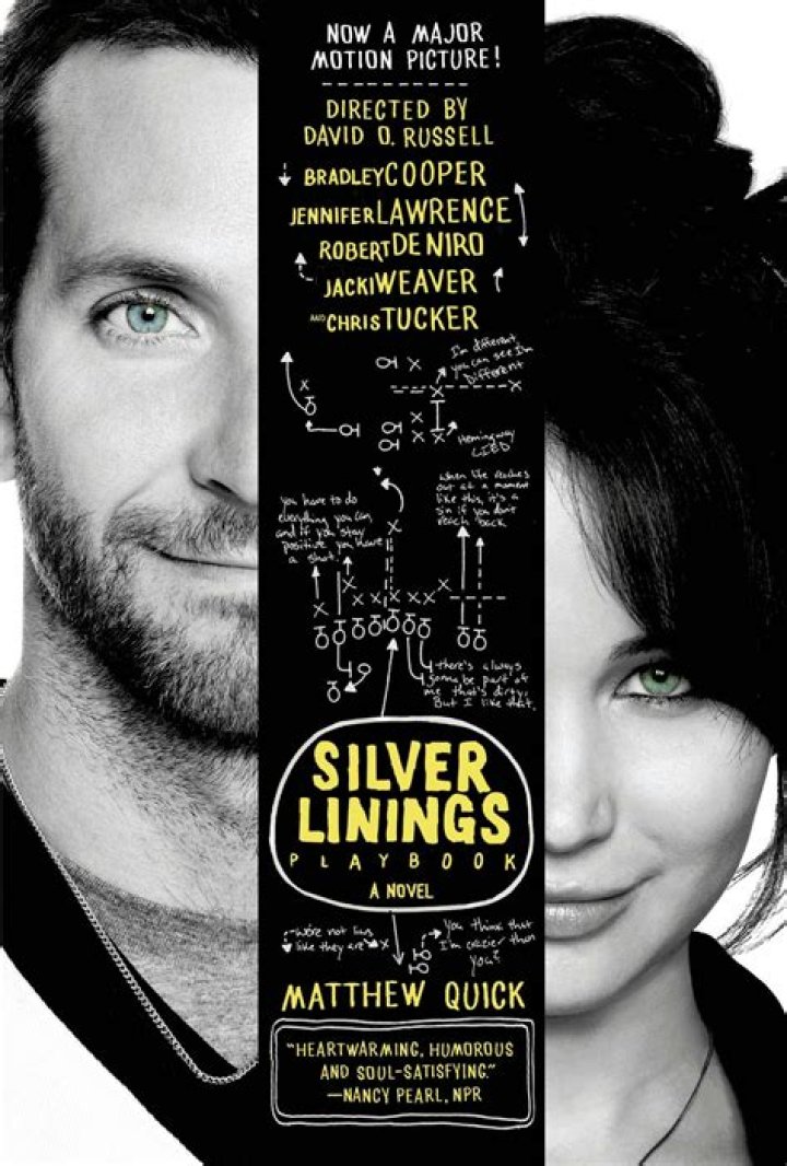 How does the book Silver Linings Playbook end?