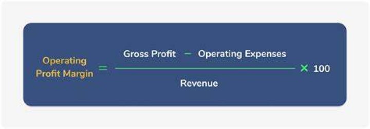 How is operating margin calculated?