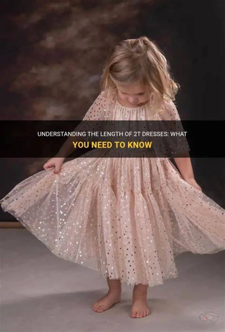 How long is a 2T dress?
