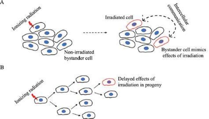 How long to irradiate cells?