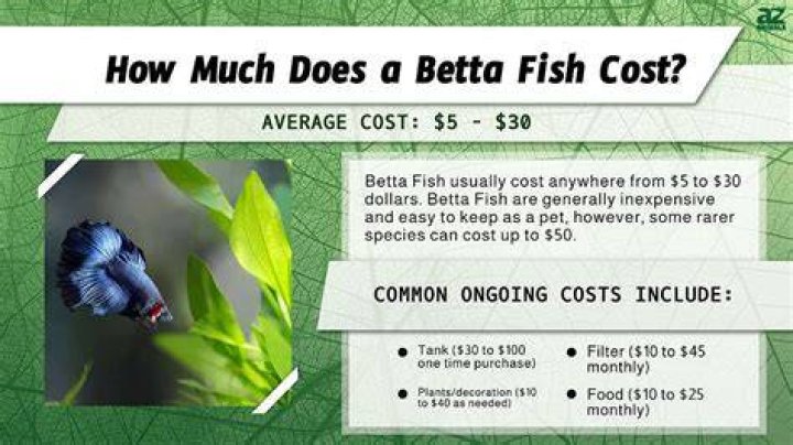 How much does it cost to fish Sunglow Pier?
