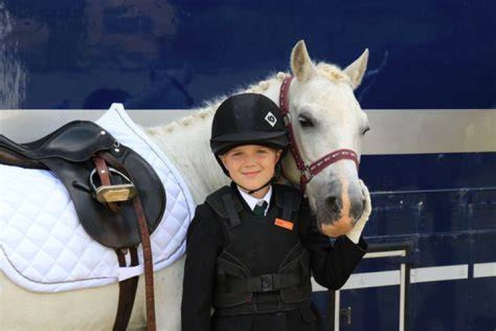 How much is horse riding lessons in Ireland?