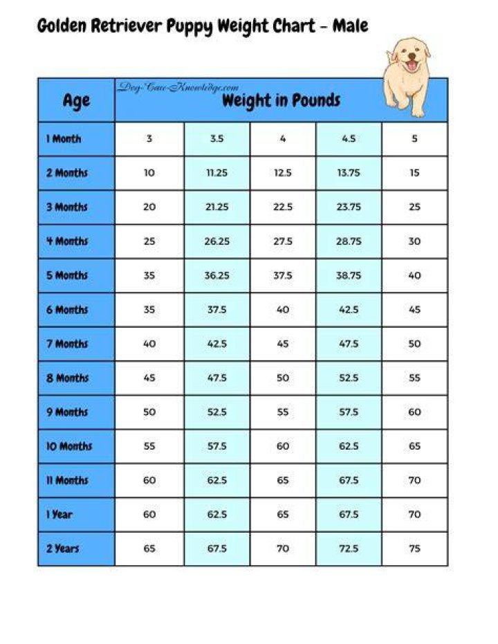 How much should my 12 week old puppy weigh?