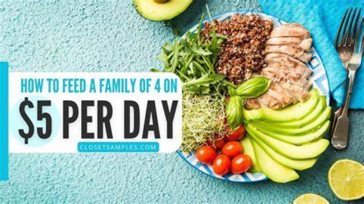 How should a family of 4 feed for $20?