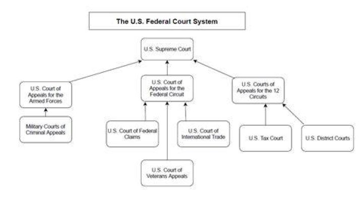 How the federal court system is structured?