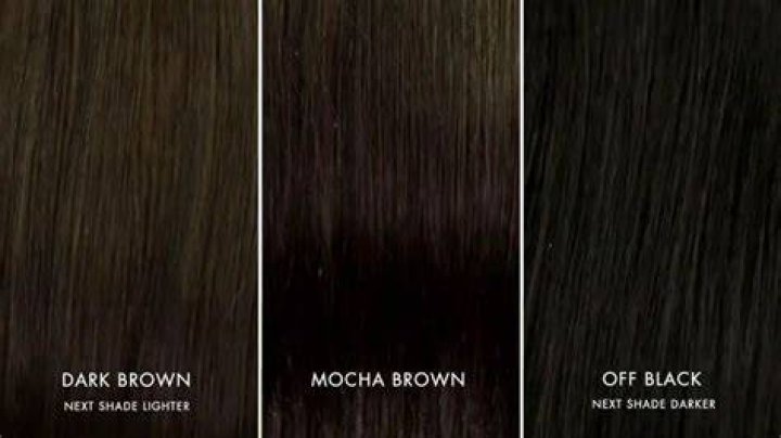How to tell if I have dark brown hair or black hair?