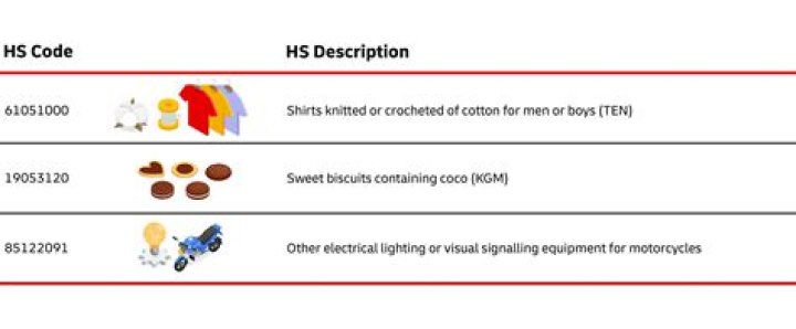 HS Code List 2020 PDF – Complete Tariff Classification Reference