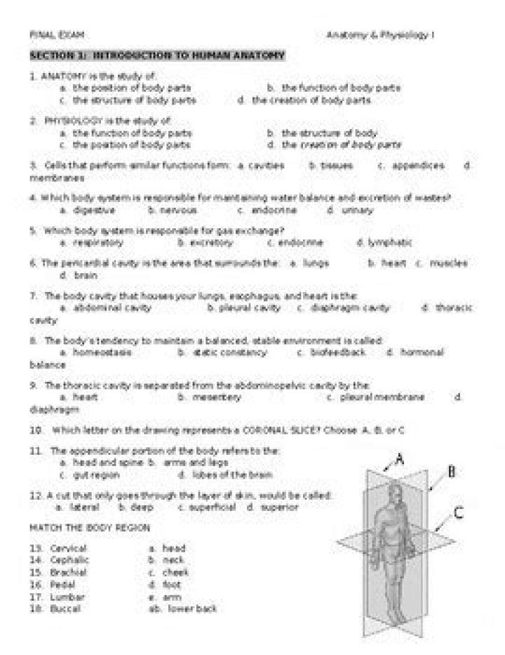Human Anatomy and Physiology Questions & Answers PDF: Perfect Study Resource