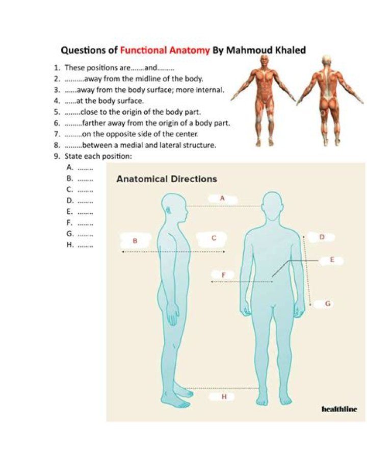 Human Anatomy Question Bank with Answers PDF – Complete Study Resource