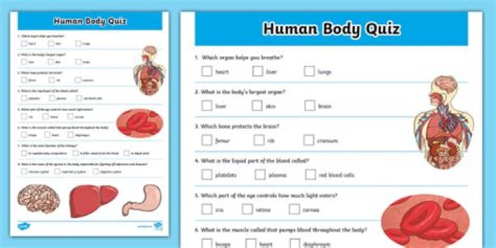 Free PDF Guide: Human Anatomy Questions & Answers
