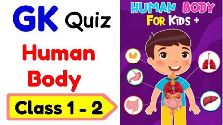 Human Body GK Questions PDF – Easy General Knowledge Test
