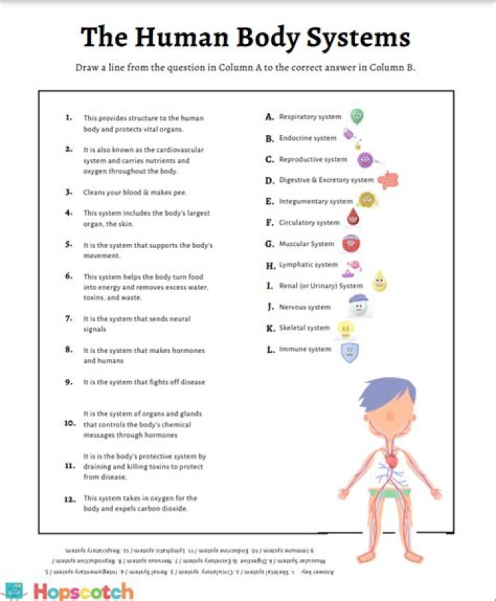 Human Body Systems Questions & Answers PDF: Study Guide & Expert Answers