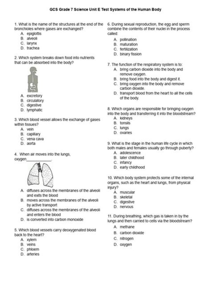 Human Body Systems Test PDF: Complete Guide & Analysis