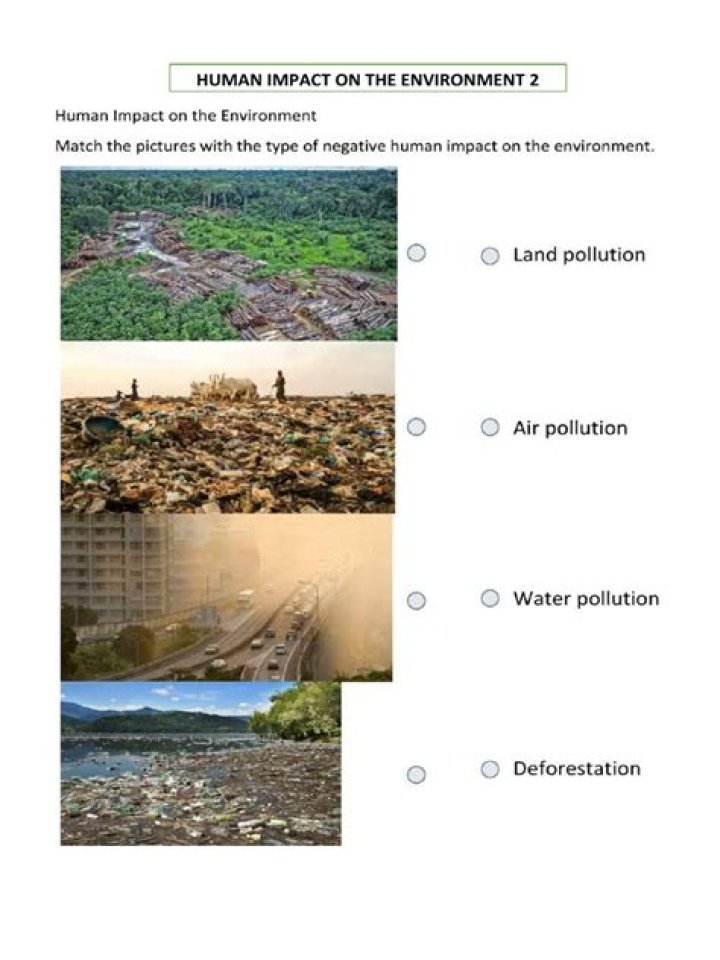 Human Impact Worksheet PDF: Analyze Environmental & Social Effects