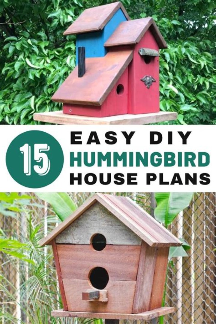 Hummingbird House Plans PDF – Easy DIY Backyard Attraction