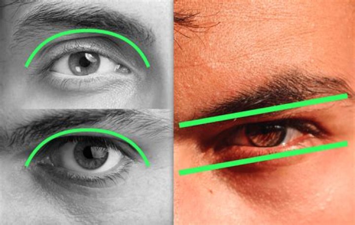 Hunter eyes, yeux de chasseurs pour les hommes