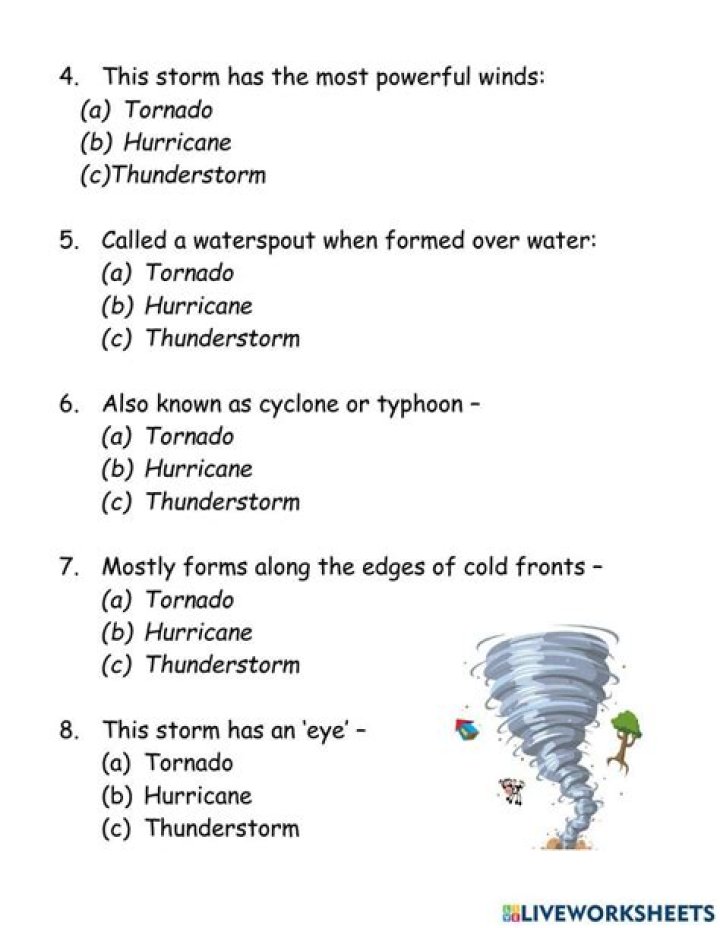 Free Hurricane Worksheets PDF for Emergency Prep