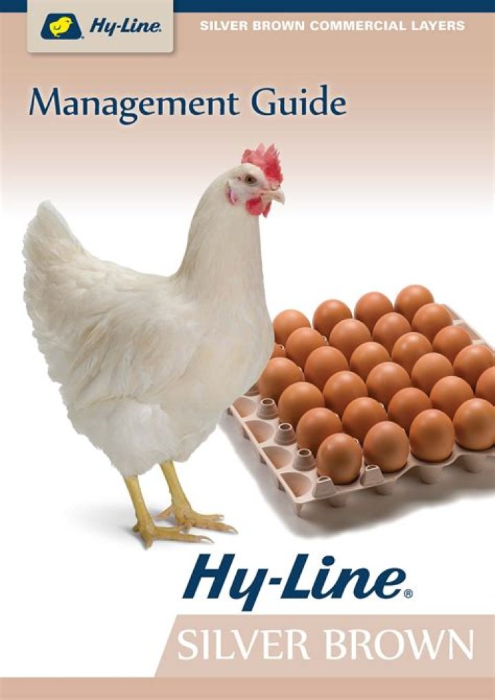 Hy-Line Brown Management Guide PDF Free Download – Expert Tips