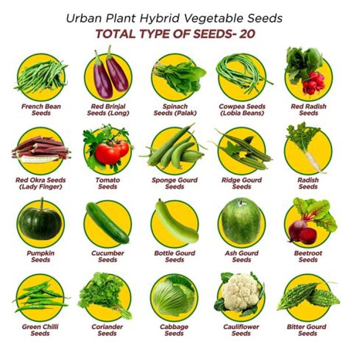 Hybrid Plants List PDF – Comprehensive Guide to Top Hybrid Varieties