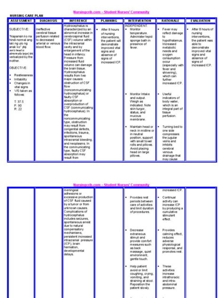 Hydrocephalus Nursing Care Plan PDF: Essential Guide for Nurses