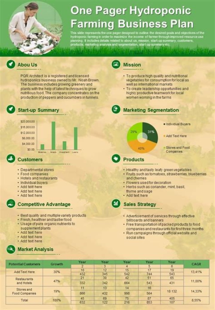Hydroponic Farming Business Plan PDF: Start Your Profitable Indoor Farm Today
