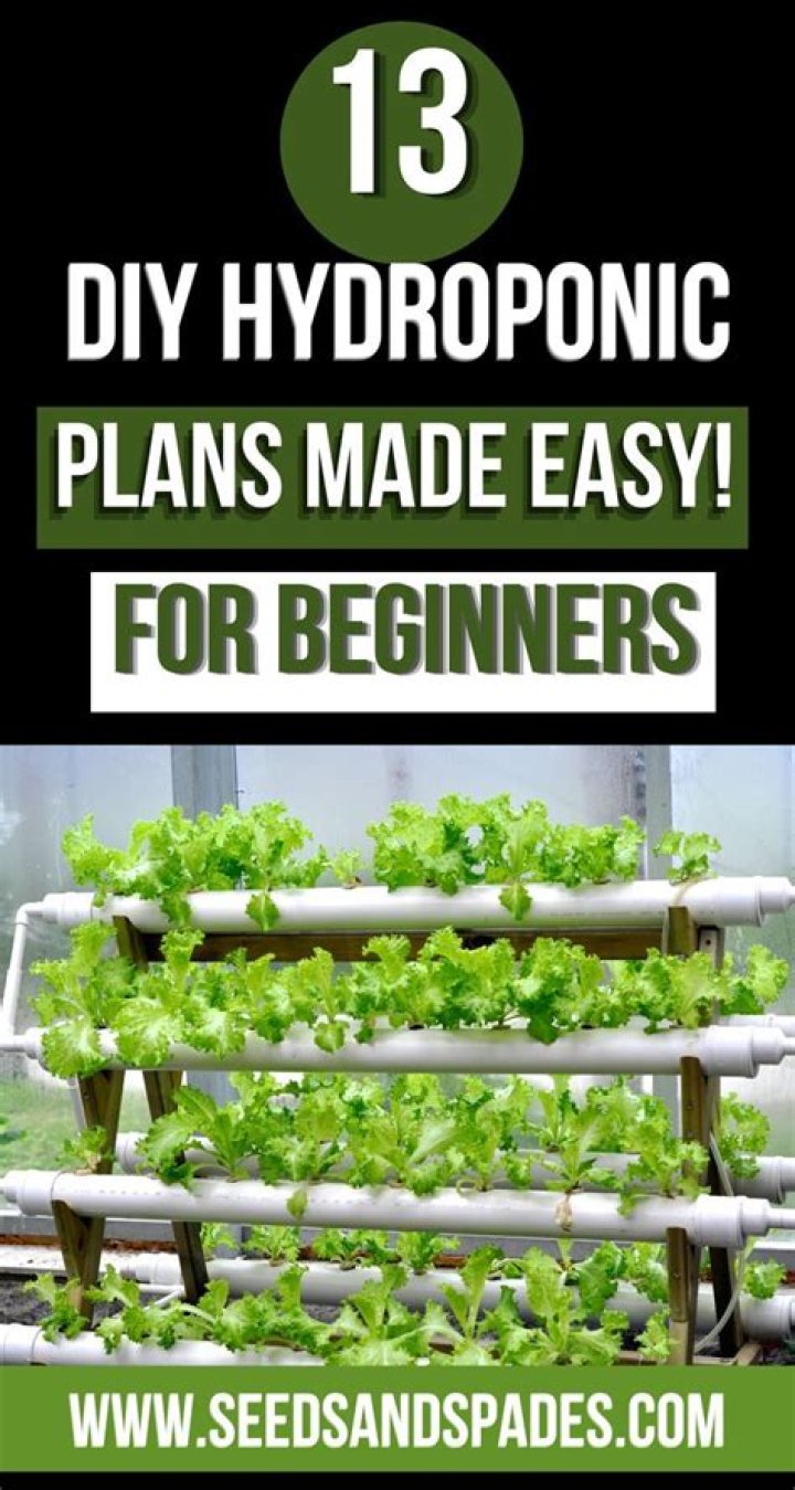 Hydroponic System Design Plans PDF – Easy-to-Follow Blueprints for Home & Commercial Use