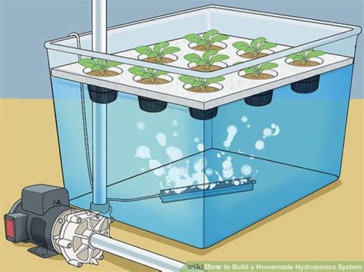 Hydroponic System Plans PDF: Build Your Own Home Garden