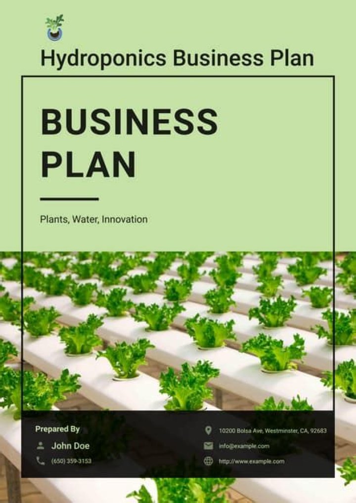 Hydroponics Business Plan PDF: Step-by-Step Guide to Starting a Profitable Indoor Farm