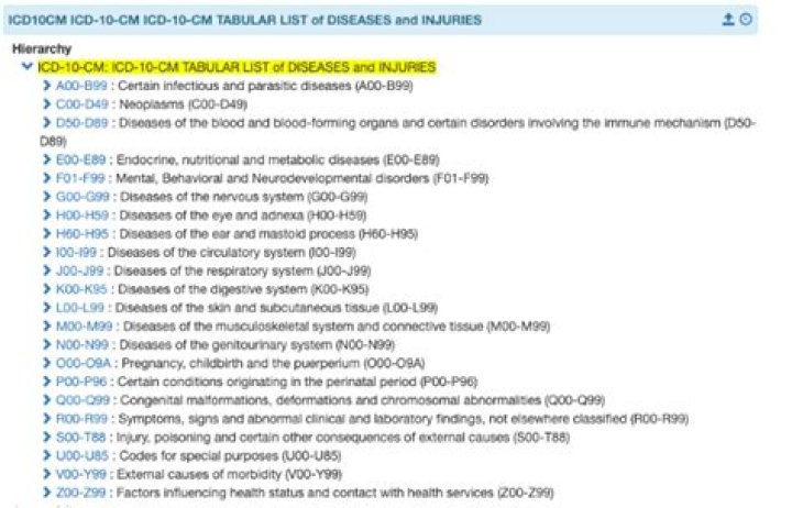 ICD-10 CM Tabular List 2023: Complete PDF Reference & Download
